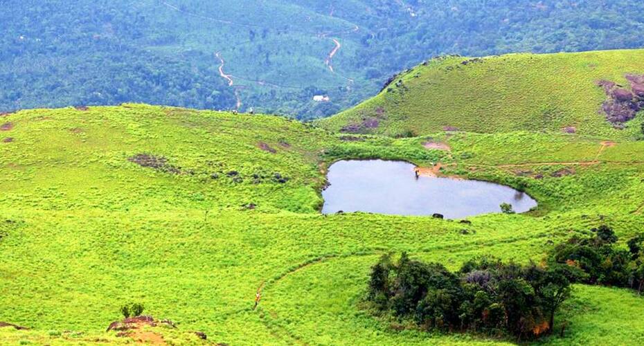 Saaj Homestay, Wayanad 2